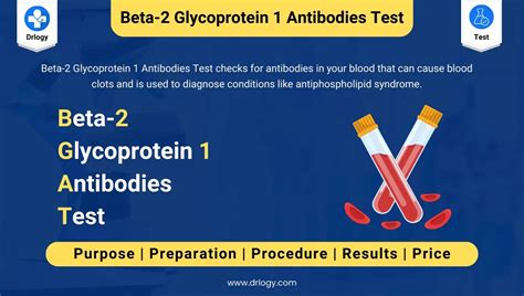 beta 2 glycoprotein antibody|Beta 2 Glycoprotein 1 IgG : Purpose & results .